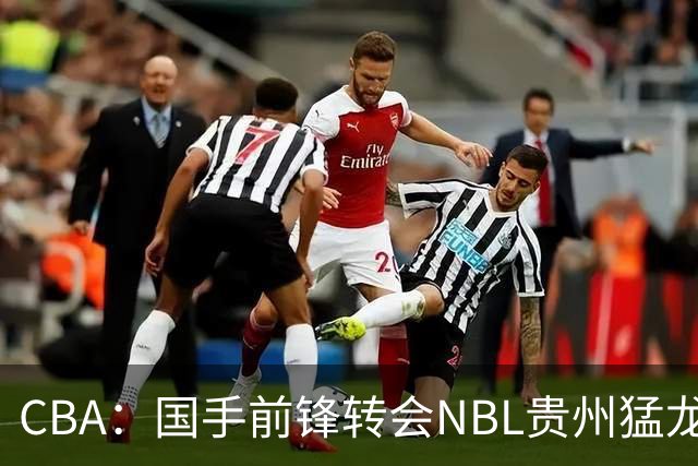 CBA：国手前锋转会NBL贵州猛龙，王少杰前往江苏男篮，吉林大将签约宁波，胡金秋预计留队